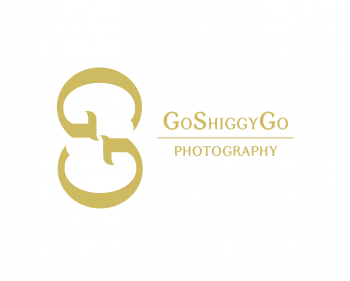 Logo Design entry 479930 submitted by designcanbeart