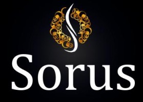 Logo Design Entry 467160 submitted by MG283 to the contest for The Sorus Group run by wildcat