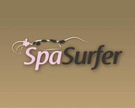Logo Design entry 478552 submitted by greycrow to the Logo Design for SpaSurfer or SpaHarmony run by procooper