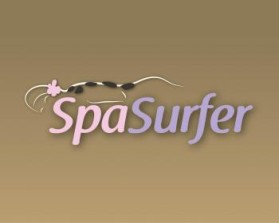 Logo Design entry 478553 submitted by Hawk to the Logo Design for SpaSurfer or SpaHarmony run by procooper