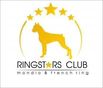Logo Design entry 482376 submitted by rem19888 to the Logo Design for Ringstars Club run by Juanmondio