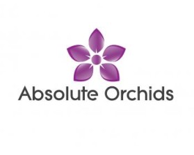 Logo Design entry 482446 submitted by sacho11 to the Logo Design for Absolute Orchids run by Orchidman