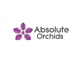 Logo Design entry 482447 submitted by sacho11 to the Logo Design for Absolute Orchids run by Orchidman