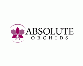 Logo Design entry 482449 submitted by sacho11 to the Logo Design for Absolute Orchids run by Orchidman