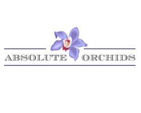 Logo Design Entry 482455 submitted by F ective D zine to the contest for Absolute Orchids run by Orchidman