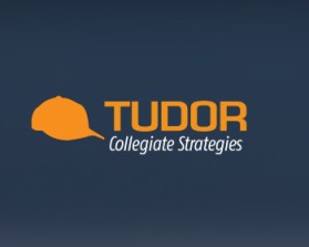 Logo Design entry 199839 submitted by newbie to the Logo Design for Tudor Collegiate Strategies run by dantudor