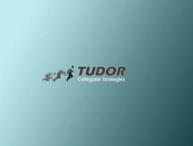 Logo Design entry 199842 submitted by newbie to the Logo Design for Tudor Collegiate Strategies run by dantudor