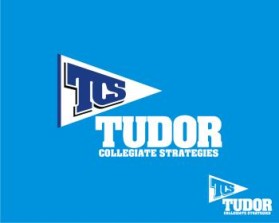 Logo Design entry 199861 submitted by newbie to the Logo Design for Tudor Collegiate Strategies run by dantudor