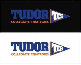 Logo Design entry 199886 submitted by newbie to the Logo Design for Tudor Collegiate Strategies run by dantudor