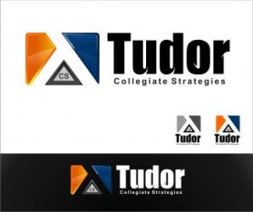 Logo Design Entry 199902 submitted by Better to the contest for Tudor Collegiate Strategies run by dantudor