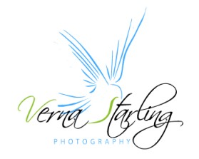 Logo Design entry 199931 submitted by pablo to the Logo Design for Verna Starling Photography run by vstar05