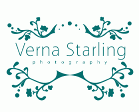 Logo Design entry 199963 submitted by di-vahyn to the Logo Design for Verna Starling Photography run by vstar05