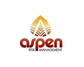 Logo Design entry 491656 submitted by visionaries to the Logo Design for Aspen Risk Management Group run by Aspen