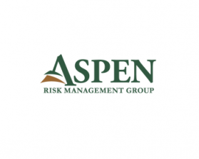 Logo Design entry 491704 submitted by visionaries to the Logo Design for Aspen Risk Management Group run by Aspen