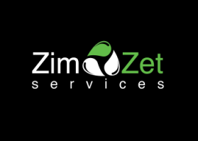 Logo Design Entry 492225 submitted by SpectraWaves to the contest for Zimzet Services run by draplinj