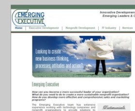 Logo Design entry 200199 submitted by thadia to the Logo Design for Emerging Executive run by emergingexec