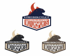 Logo Design entry 504552 submitted by tdesign to the Logo Design for PRECISION CYCLE MOTORSPORTS run by sylvadog
