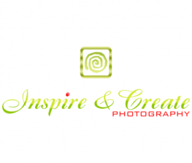 Logo Design entry 533433 submitted by virus