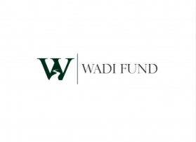 Logo Design entry 527054 submitted by hammet77 to the Logo Design for Wadi Fund run by coxben360