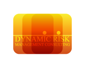Logo Design entry 529366 submitted by leopard to the Logo Design for Dynamic Risk Management Consulting run by DLandero