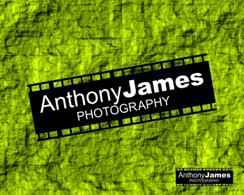 Logo Design entry 530597 submitted by piejay1986 to the Logo Design for Anthony James Photography, LLC run by anthonyjgibson