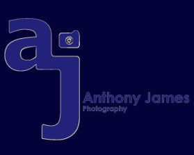Logo Design entry 548132 submitted by asc