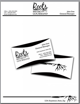 Business Card & Stationery Design entry 531703 submitted by enviedesigns