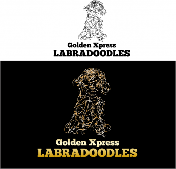 Logo Design entry 532159 submitted by LagraphixDesigns to the Logo Design for Golden Xpress Labradoodles run by Lisa J