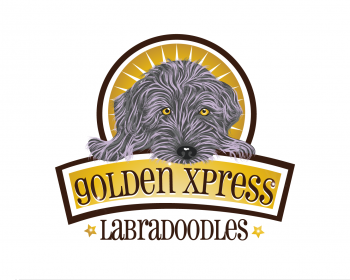 Logo Design entry 532140 submitted by Lifedrops to the Logo Design for Golden Xpress Labradoodles run by Lisa J