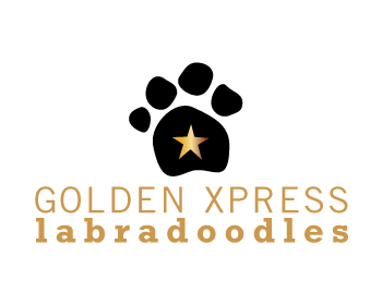Logo Design entry 532159 submitted by reding to the Logo Design for Golden Xpress Labradoodles run by Lisa J