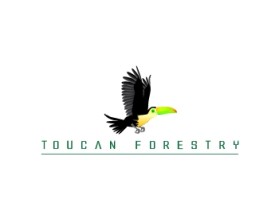 Logo Design entry 533713 submitted by Mespleaux to the Logo Design for Toucan Forestry run by nericbarbosa