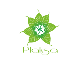 Logo Design entry 548499 submitted by teOdy to the Logo Design for plaksa run by persainjit
