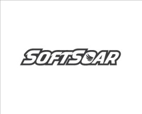 Logo Design entry 560141 submitted by LogoGirl to the Logo Design for SoftSoar™ Flying Disc run by StypeCreative