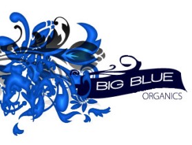 Logo Design entry 561901 submitted by igor1408 to the Logo Design for Big Blue Organics run by Rybred