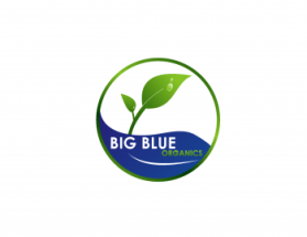 Logo Design entry 561902 submitted by leesdesigns to the Logo Design for Big Blue Organics run by Rybred