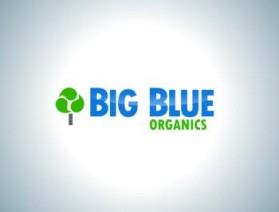 Another design by robertdc submitted to the Logo Design for Big Blue Organics by Rybred