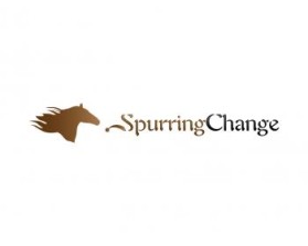 Logo Design entry 562849 submitted by faysalfarhan to the Logo Design for Spurring Change run by jastoltzfus