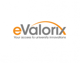 Logo Design entry 564837 submitted by LeAnn to the Logo Design for evalorix run by univalor