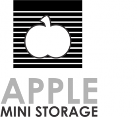 Logo Design entry 566389 submitted by creativfusion to the Logo Design for Apple Mini Storage run by DavidEliason