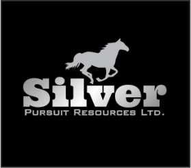 Logo Design entry 574847 submitted by mohdesign to the Logo Design for www.silverpursuit.ca run by evador