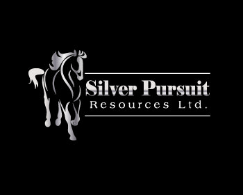 Logo Design entry 574849 submitted by gabbyadingail to the Logo Design for www.silverpursuit.ca run by evador
