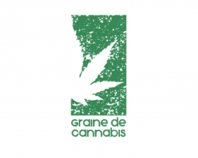 Logo Design Entry 578864 submitted by santacruzdesign to the contest for Graine de Cannabis run by popadoodle