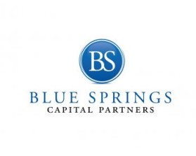 Logo Design entry 583329 submitted by apvisualdesign to the Logo Design for Blue Springs Capital Parnters run by Chris5