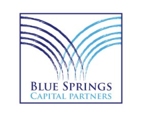 Logo Design Entry 583333 submitted by apvisualdesign to the contest for Blue Springs Capital Parnters run by Chris5