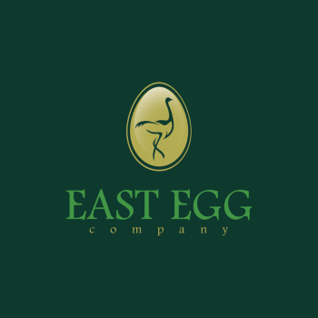 Logo Design entry 612353 submitted by emceelp