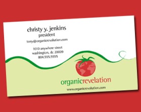 Logo Design entry 206897 submitted by churpo to the Logo Design for Organic Revelation run by organic revelation