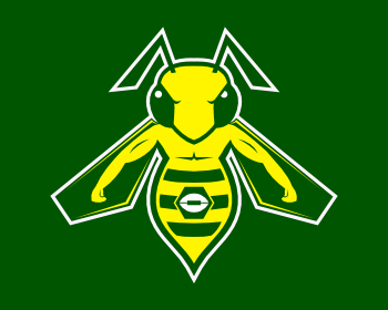 Football Hornet  Mascot