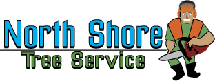 Logo Design entry 213385 submitted by KingJoker to the Logo Design for North Shore Tree Service run by North Shore Tree Service