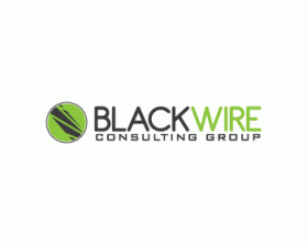 Logo Design entry 217533 submitted by xpressions to the Logo Design for BlackWire Consulting Group run by sjorefice