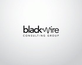 Logo Design entry 217554 submitted by designbuddha to the Logo Design for BlackWire Consulting Group run by sjorefice